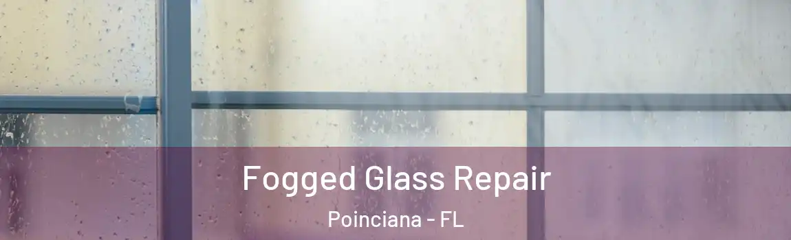  Fogged Glass Repair Poinciana - FL