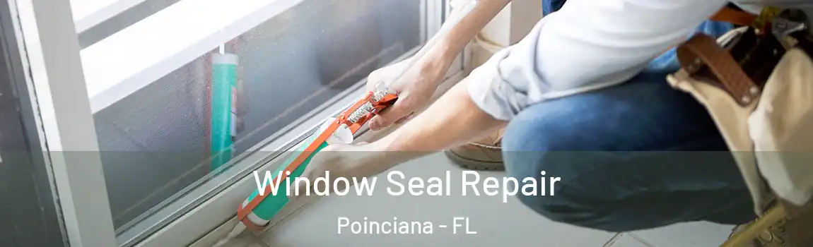 Window Seal Repair Poinciana - FL